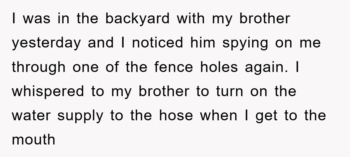 I was in the backyard with my brother yesterday and I noticed him spying on me through one of the fence holes again. I whispered to my brother to turn...