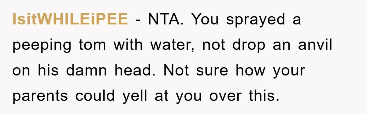 IsitWHILEiPEE − NTA. You sprayed a peeping tom with water, not drop an anvil on his damn head. Not sure how your parents could yell at you over this.