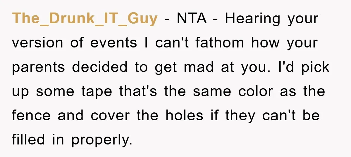 The_Drunk_IT_Guy − NTA - Hearing your version of events I can't fathom how your parents decided to get mad at you. I'd pick up some tape that's the same color...