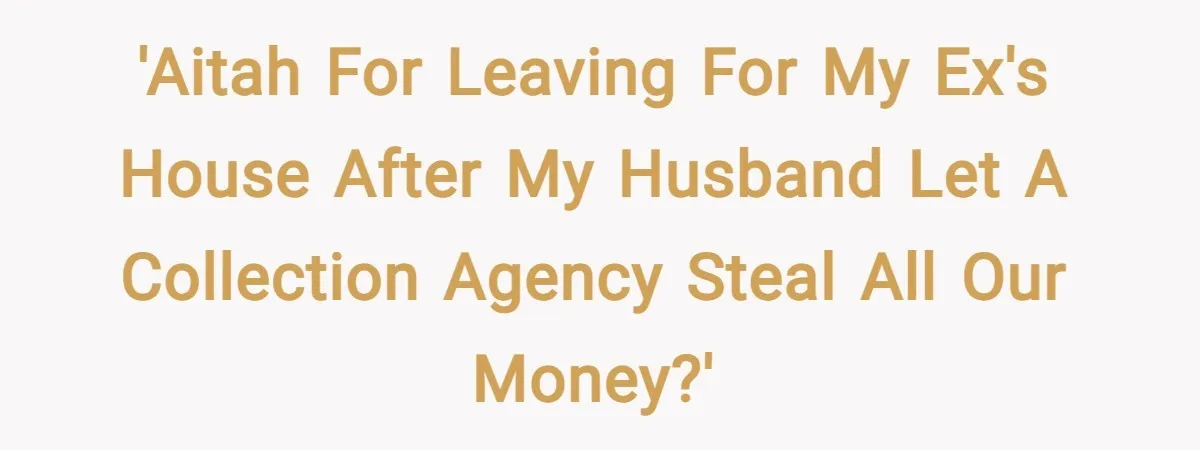 'AITAH for leaving for my ex's house after my husband let a collection agency steal all our money?'