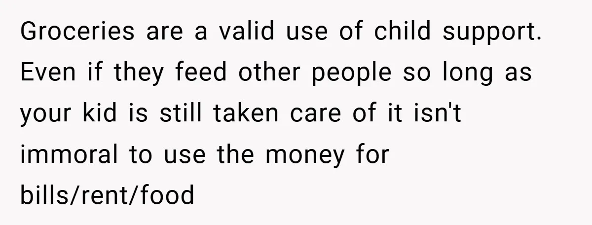 Groceries are a valid use of child support. Even if they feed other people so long as your kid is still taken care of it isn't immoral to use the...