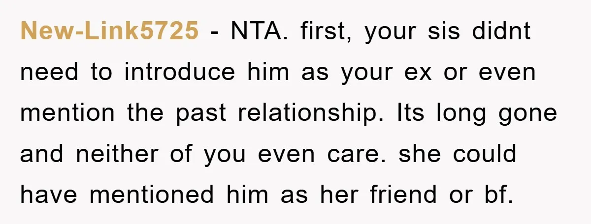 New-Link5725 − NTA. first, your sis didnt need to introduce him as your ex or even mention the past relationship. Its long gone and neither of you even care. she...