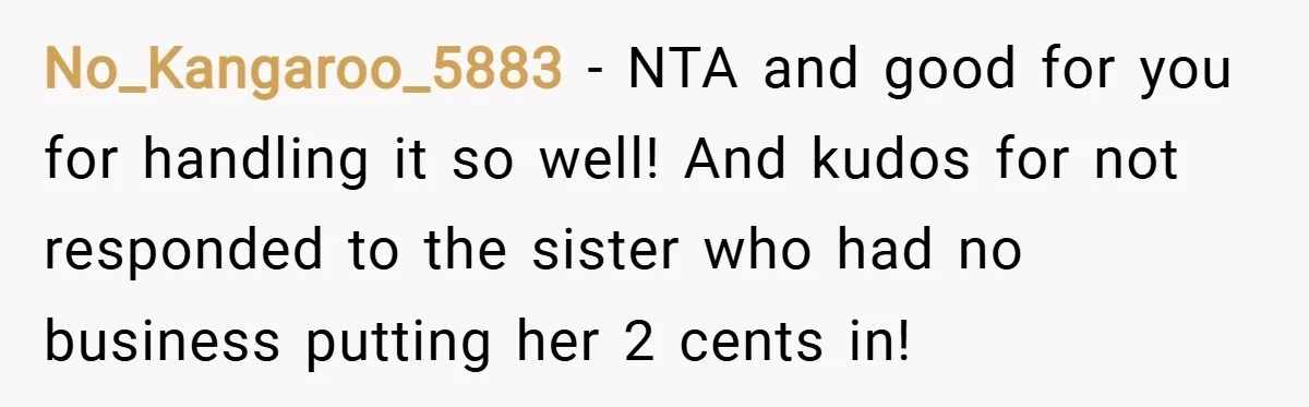 No_Kangaroo_5883 − NTA and good for you for handling it so well! And kudos for not responded to the sister who had no business putting her 2 cents in!