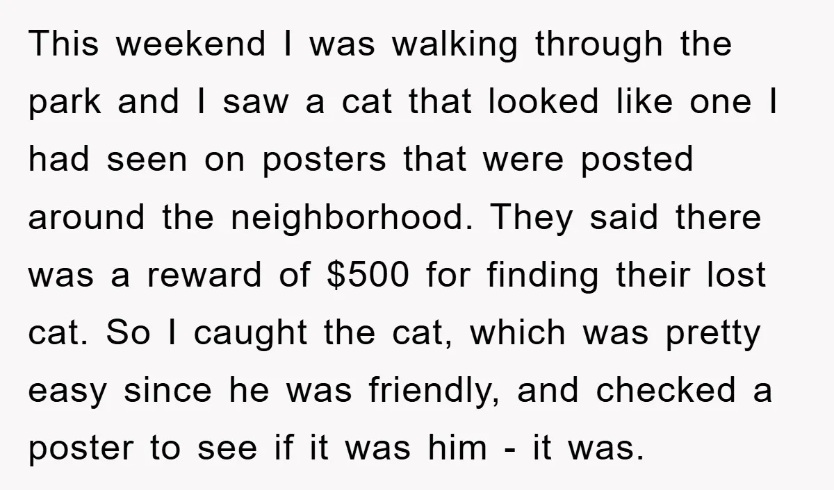 This weekend I was walking through the park and I saw a cat that looked like one I had seen on posters that were posted around the neighborhood. They said...