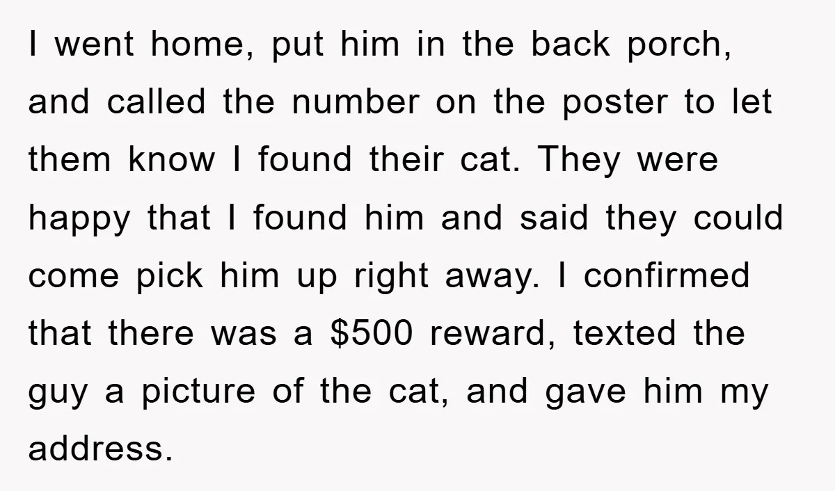 I went home, put him in the back porch, and called the number on the poster to let them know I found their cat. They were happy that I found...