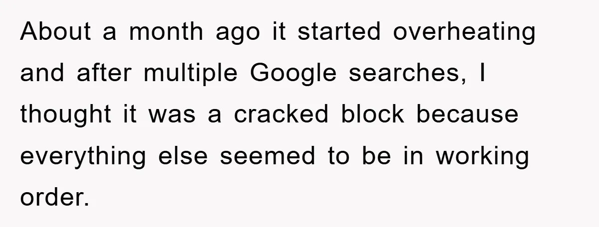 About a month ago it started overheating and after multiple Google searches, I thought it was a cracked block because everything else seemed to be in working order.