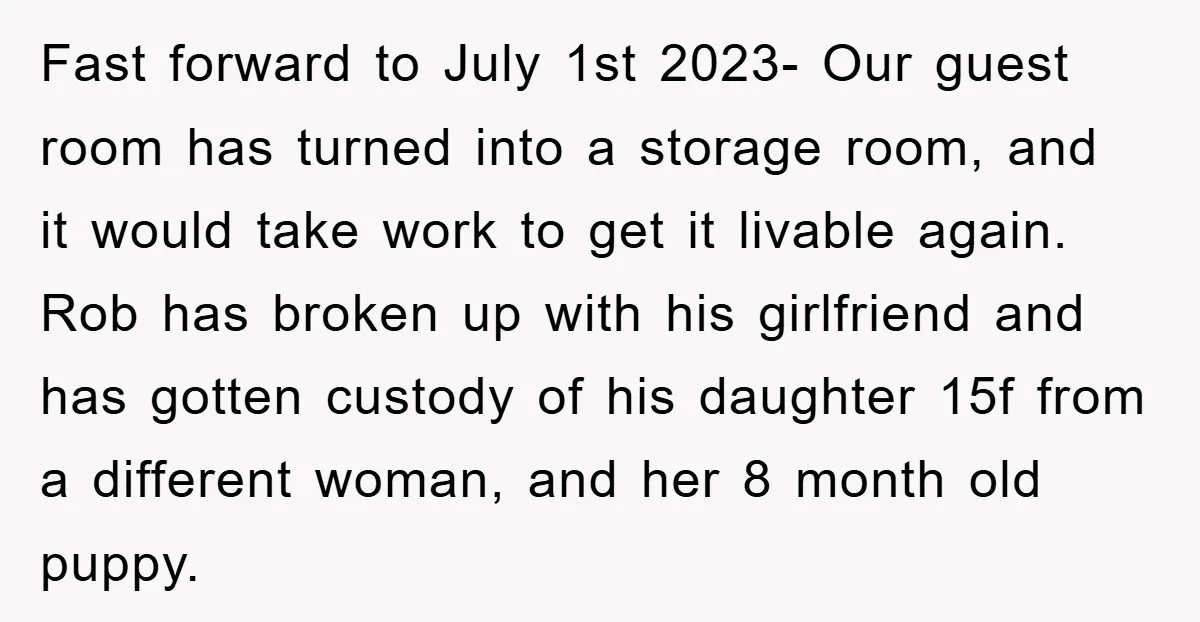 Fast forward to July 1st 2023- Our guest room has turned into a storage room, and it would take work to get it livable again. Rob has broken up with...