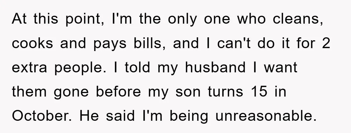 At this point, I'm the only one who cleans, cooks and pays bills, and I can't do it for 2 extra people. I told my husband I want them gone...
