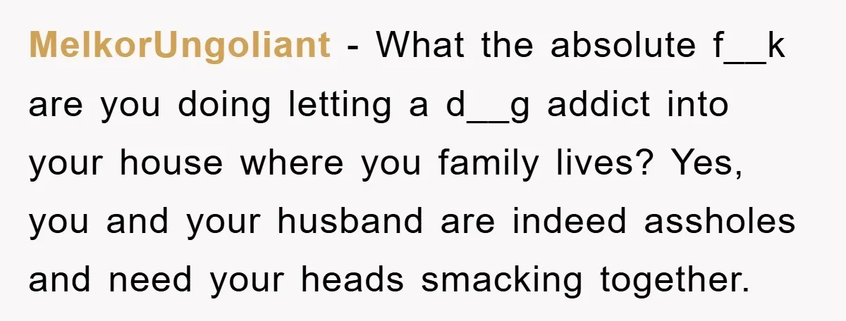 MelkorUngoliant − What the absolute f__k are you doing letting a d__g addict into your house where you family lives? Yes, you and your husband are indeed assholes and need...