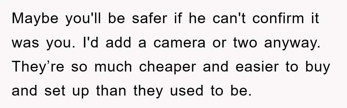Maybe you'll be safer if he can't confirm it was you. I'd add a camera or two anyway. They’re so much cheaper and easier to buy and set up than...