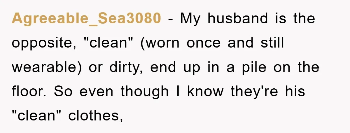 Agreeable_Sea3080 − My husband is the opposite, "clean" (worn once and still wearable) or dirty, end up in a pile on the floor. So even though I know they're his...