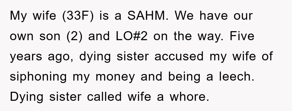 My wife (33F) is a SAHM. We have our own son (2) and LO#2 on the way. Five years ago, dying sister accused my wife of siphoning my money and...