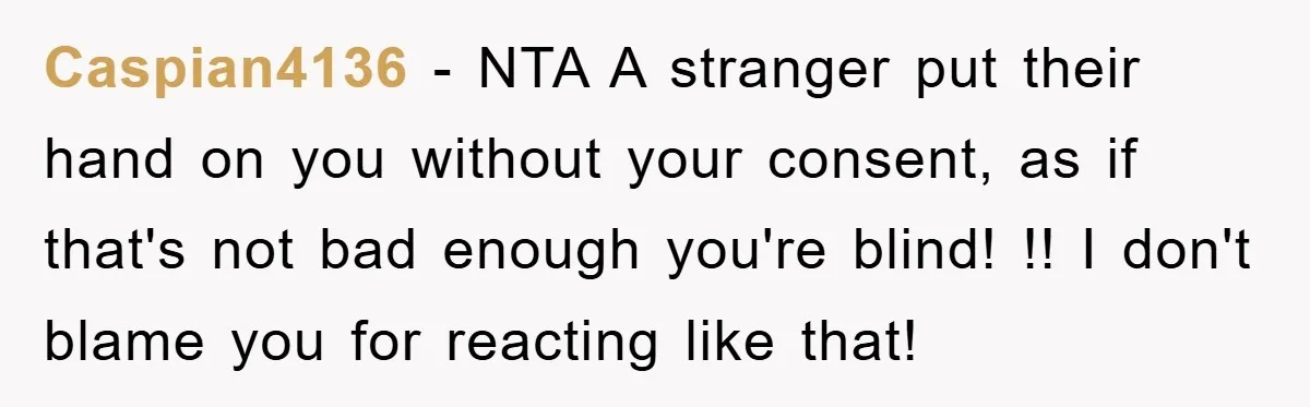 Caspian4136 - NTA A stranger put their hand on you without your consent, as if that's not bad enough you're blind! !! I don't blame you for reacting like that!