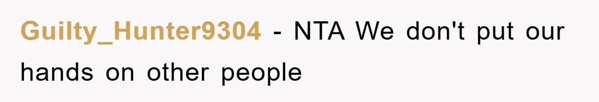 Guilty_Hunter9304 - NTA We don't put our hands on other people