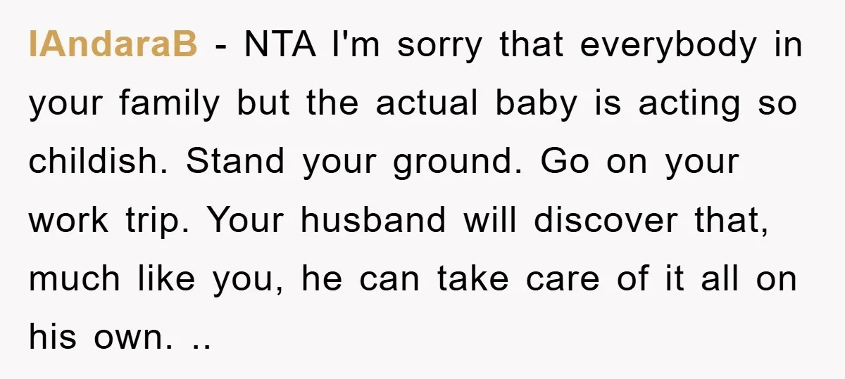 IAndaraB − NTA I'm sorry that everybody in your family but the actual baby is acting so childish. Stand your ground. Go on your work trip. Your husband will discover...