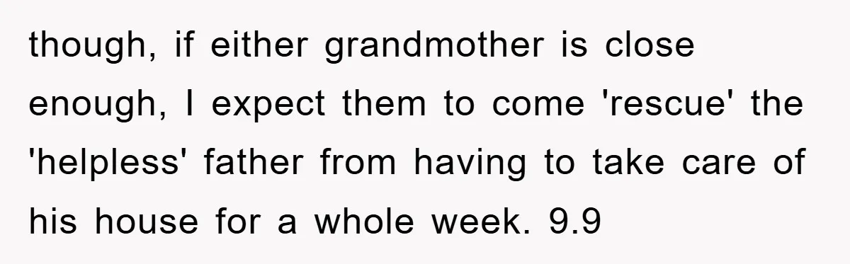 though, if either grandmother is close enough, I expect them to come 'rescue' the 'helpless' father from having to take care of his house for a whole week. 9.9