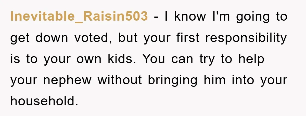 Inevitable_Raisin503 − I know I'm going to get down voted, but your first responsibility is to your own kids. You can try to help your nephew without bringing him into...