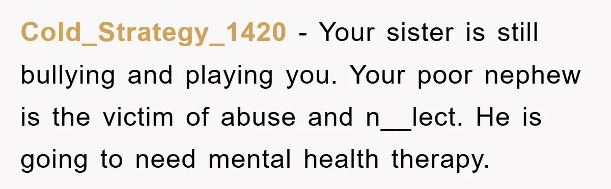Cold_Strategy_1420 − Your sister is still bullying and playing you. Your poor nephew is the victim of abuse and n__lect. He is going to need mental health therapy.