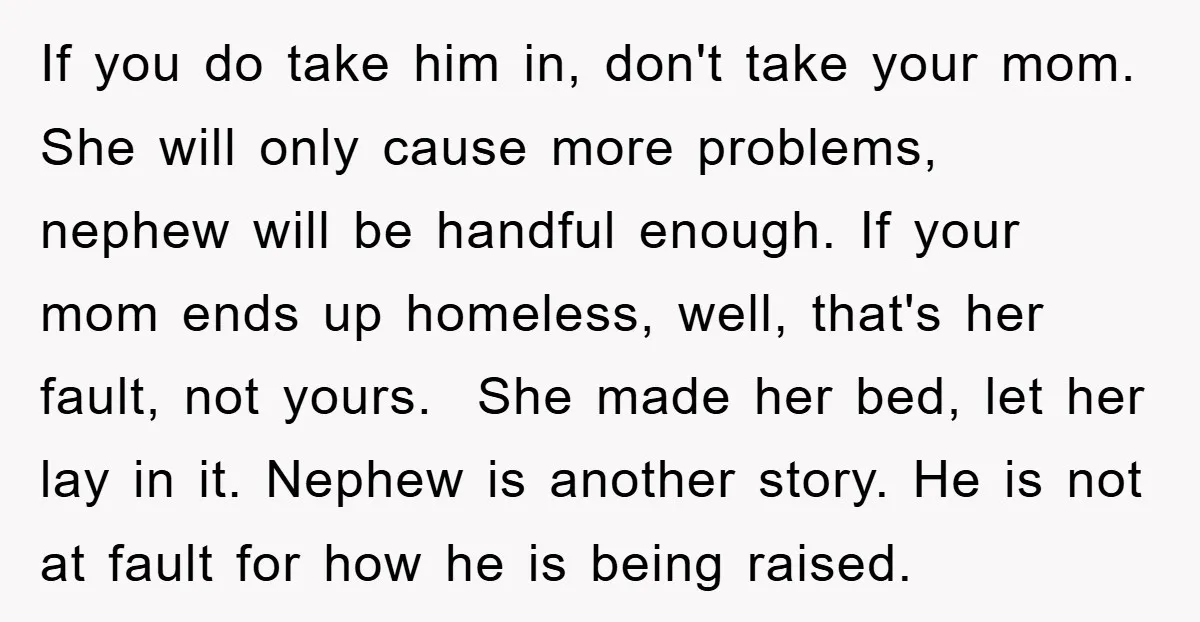 If you do take him in, don't take your mom. She will only cause more problems, nephew will be handful enough. If your mom ends up homeless, well, that's her...