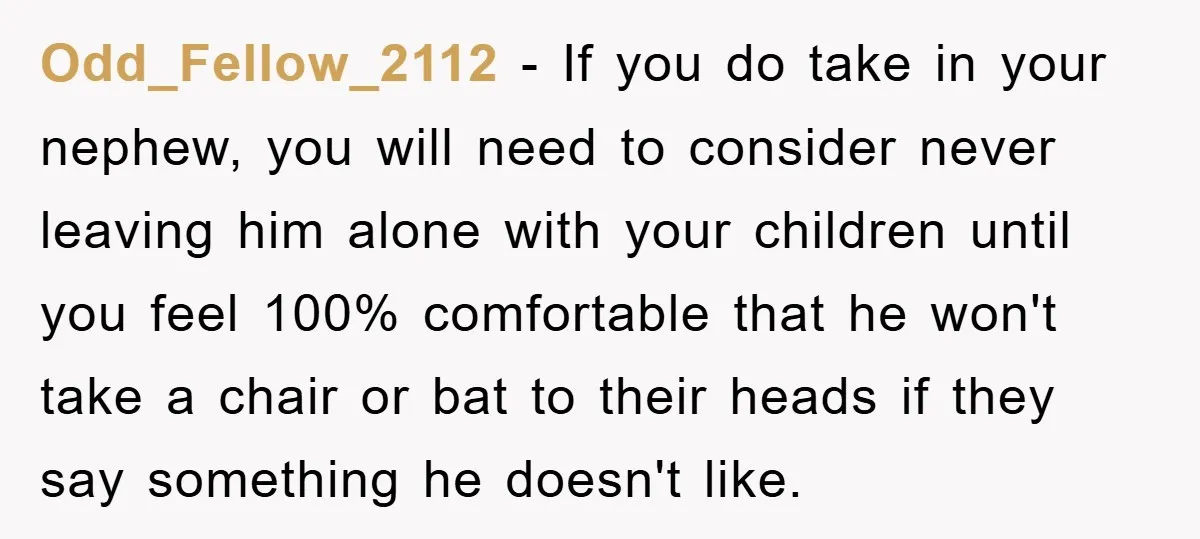 Odd_Fellow_2112 − If you do take in your nephew, you will need to consider never leaving him alone with your children until you feel 100% comfortable that he won't take...