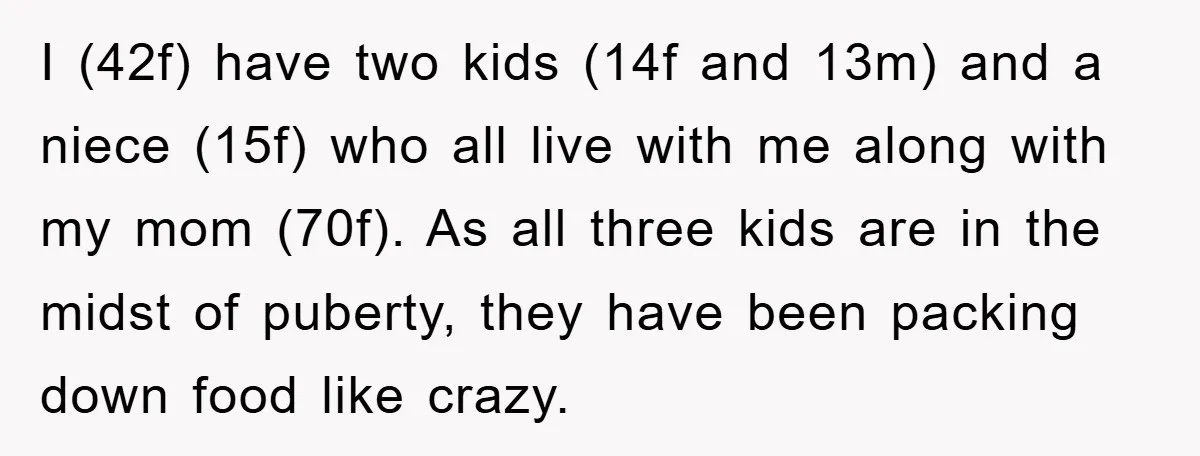 I (42f) have two kids (14f and 13m) and a niece (15f) who all live with me along with my mom (70f). As all three kids are in the midst...