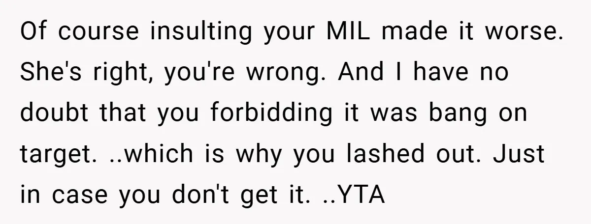 Of course insulting your MIL made it worse. She's right, you're wrong. And I have no doubt that you forbidding it was bang on target. ..which is why you lashed...