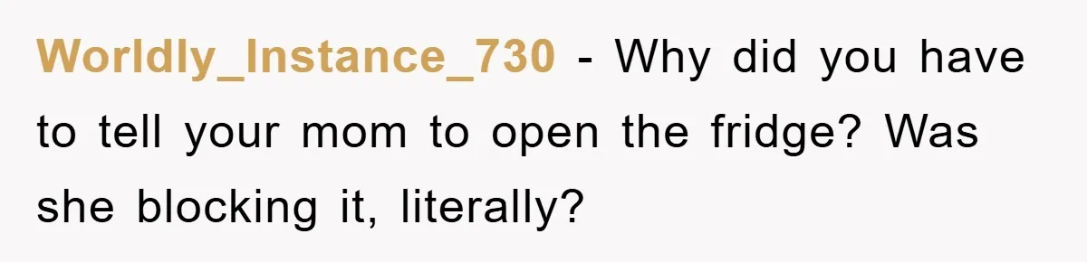 Worldly_Instance_730 − Why did you have to tell your mom to open the fridge? Was she blocking it, literally?