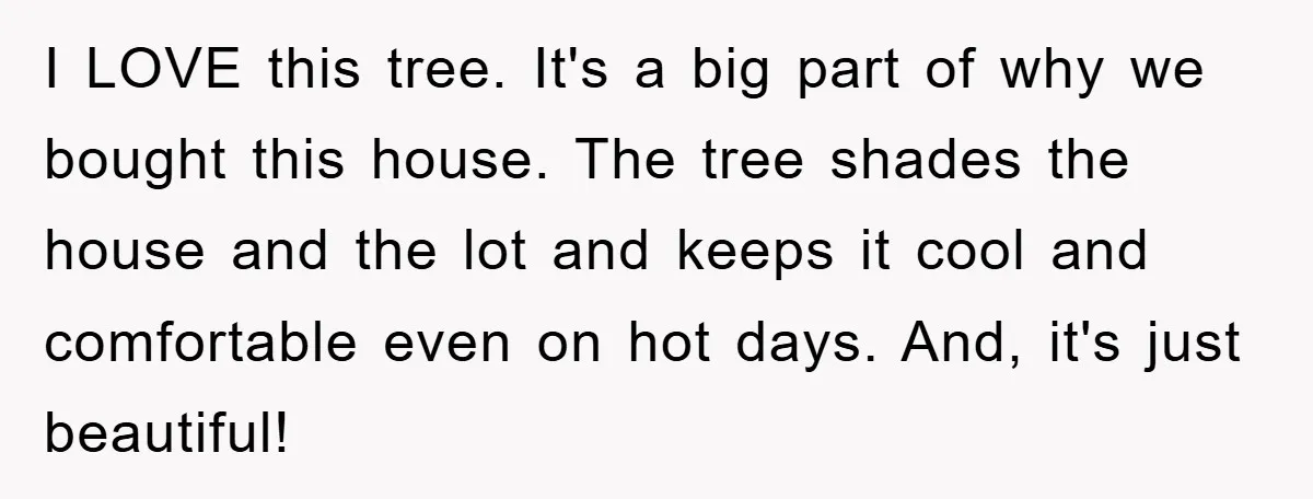 I LOVE this tree. It's a big part of why we bought this house. The tree shades the house and the lot and keeps it cool and comfortable even on...