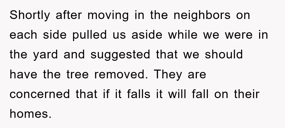 Shortly after moving in the neighbors on each side pulled us aside while we were in the yard and suggested that we should have the tree removed. They are concerned...