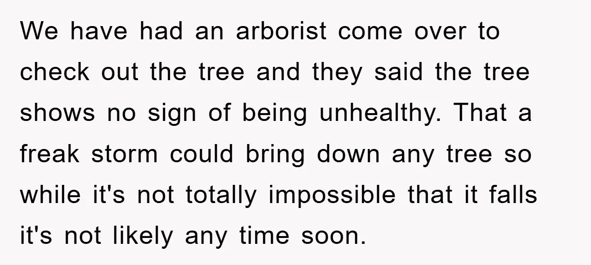 We have had an arborist come over to check out the tree and they said the tree shows no sign of being unhealthy. That a freak storm could bring down...