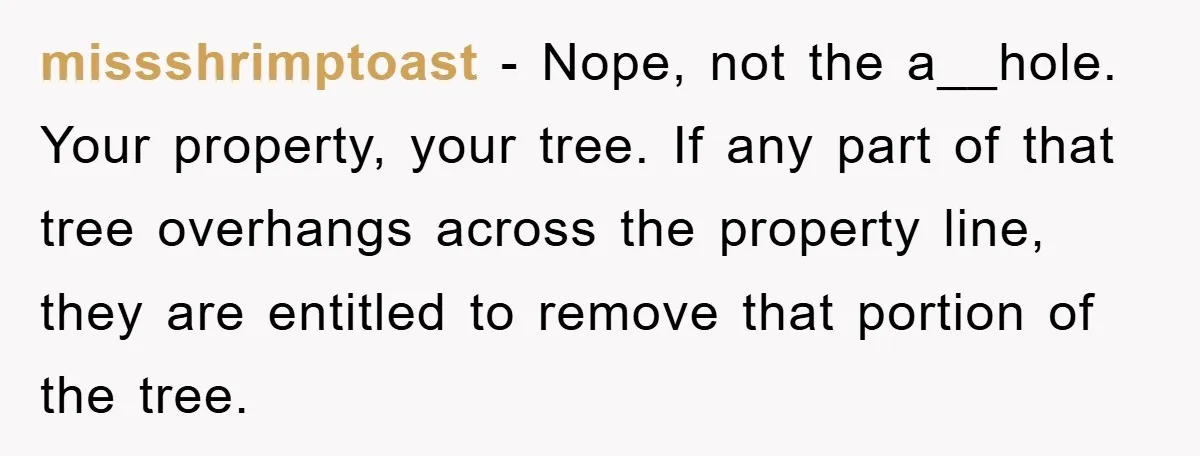 missshrimptoast − Nope, not the a__hole. Your property, your tree. If any part of that tree overhangs across the property line, they are entitled to remove that portion of the...