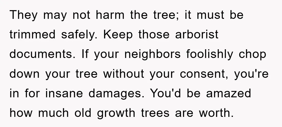 They may not harm the tree; it must be trimmed safely. Keep those arborist documents. If your neighbors foolishly chop down your tree without your consent, you're in for insane...