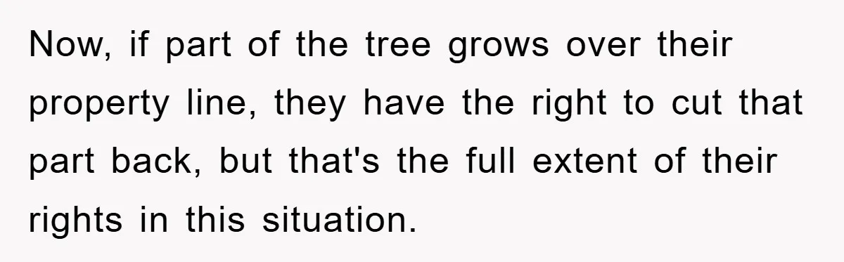 Now, if part of the tree grows over their property line, they have the right to cut that part back, but that's the full extent of their rights in this...
