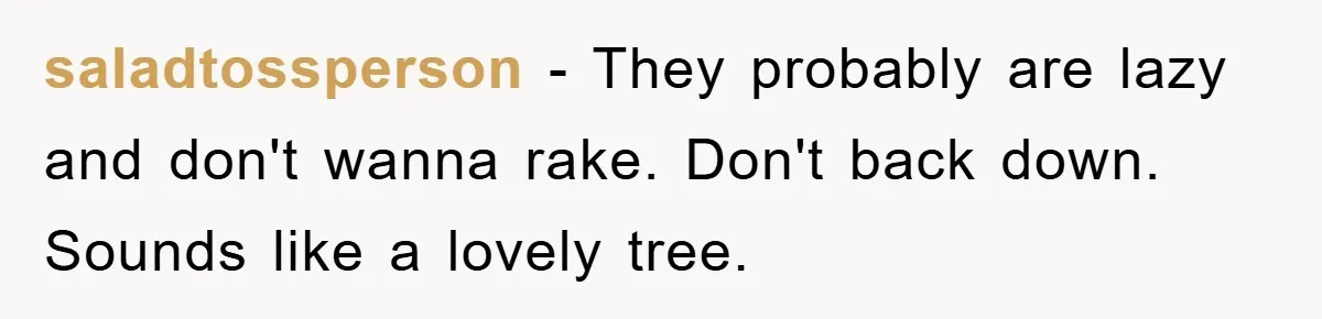 saladtossperson − They probably are lazy and don't wanna rake. Don't back down. Sounds like a lovely tree.