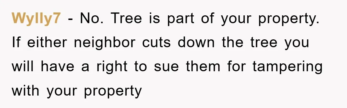 Wylly7 − No. Tree is part of your property. If either neighbor cuts down the tree you will have a right to sue them for tampering with your property