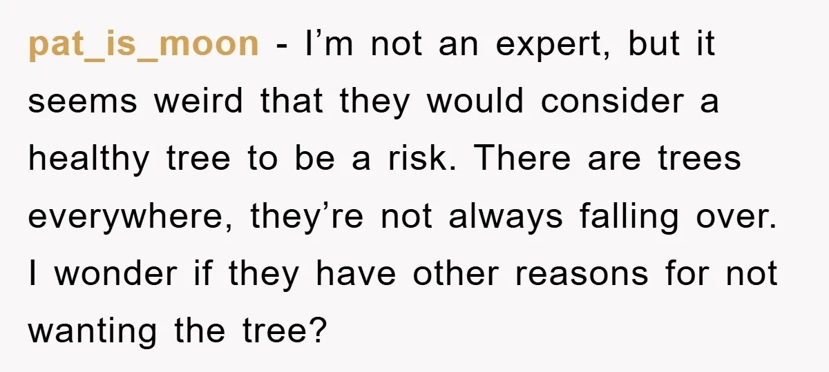 pat_is_moon − I’m not an expert, but it seems weird that they would consider a healthy tree to be a risk. There are trees everywhere, they’re not always falling over....