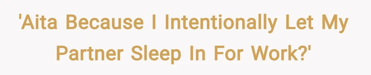 'AITA because I intentionally let my partner sleep in for work?'