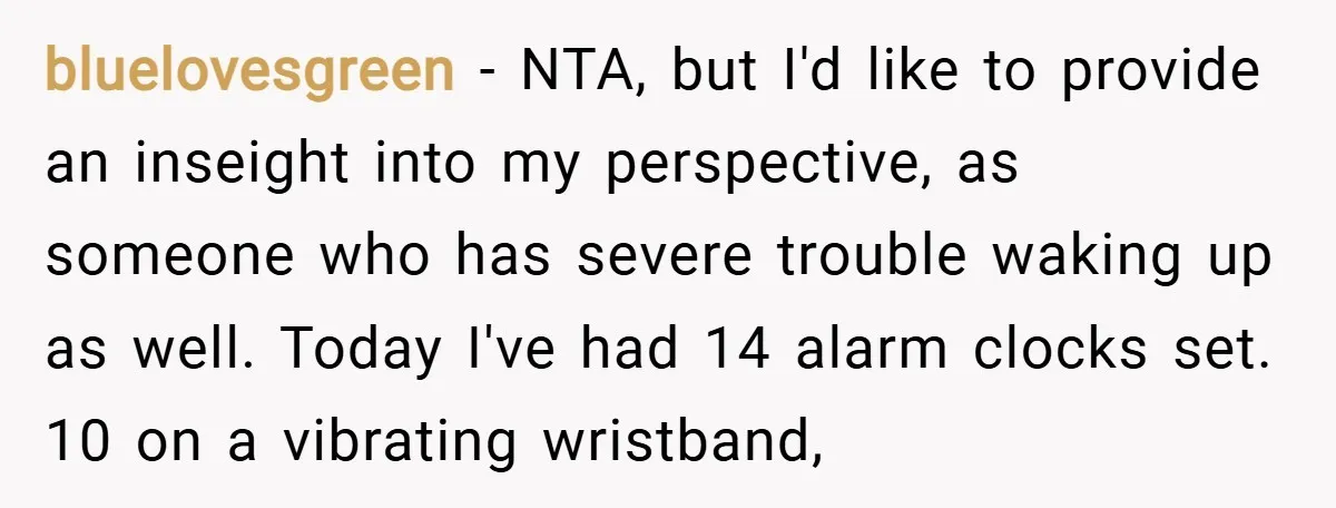 bluelovesgreen − NTA, but I'd like to provide an inseight into my perspective, as someone who has severe trouble waking up as well. Today I've had 14 alarm clocks set....