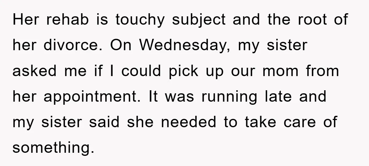 Her rehab is touchy subject and the root of her divorce. On Wednesday, my sister asked me if I could pick up our mom from her appointment. It was running...