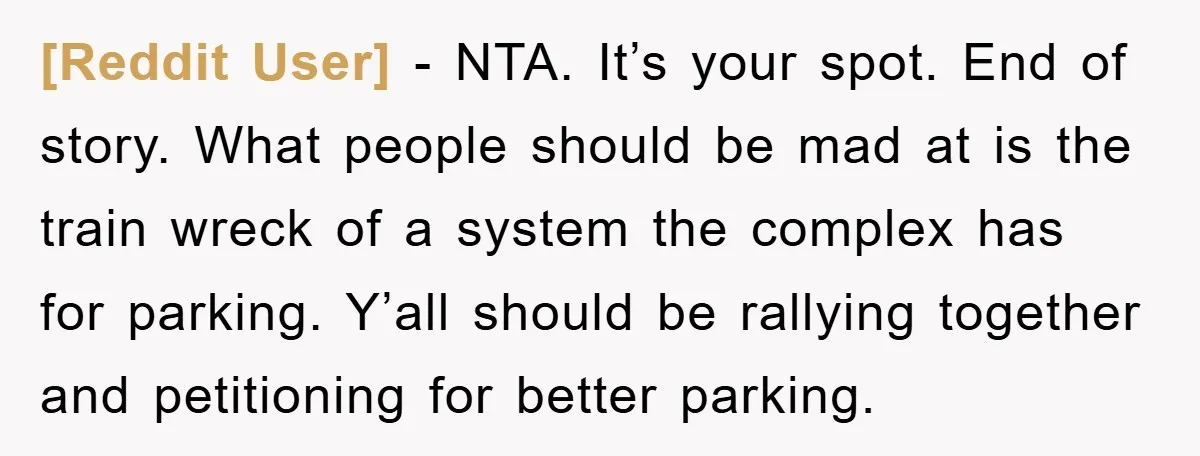 [Reddit User] − NTA. It’s your spot. End of story. What people should be mad at is the train wreck of a system the complex has for parking. Y’all should...