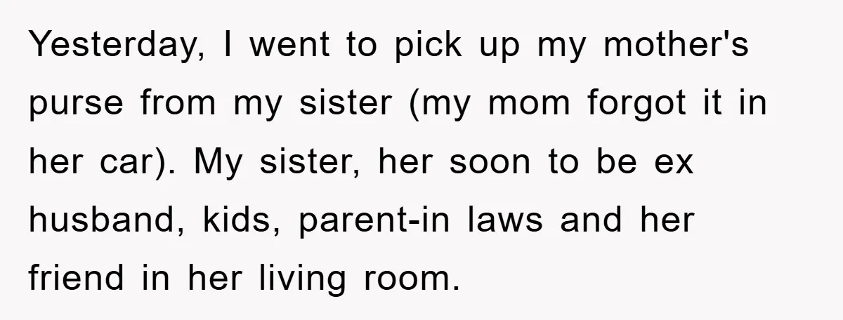 Yesterday, I went to pick up my mother's purse from my sister (my mom forgot it in her car). My sister, her soon to be ex husband, kids, parent-in laws...