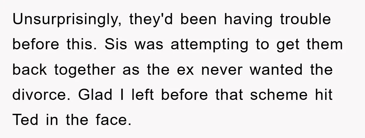 Unsurprisingly, they'd been having trouble before this. Sis was attempting to get them back together as the ex never wanted the divorce. Glad I left before that scheme hit Ted...