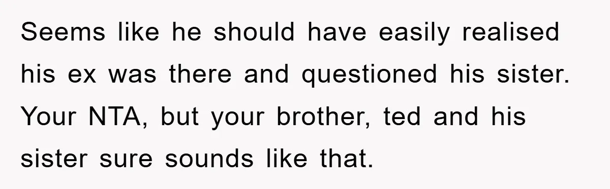 Seems like he should have easily realised his ex was there and questioned his sister. Your NTA, but your brother, ted and his sister sure sounds like that.