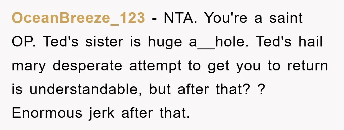 OceanBreeze_123 − NTA. You're a saint OP. Ted's sister is huge a__hole. Ted's hail mary desperate attempt to get you to return is understandable, but after that? ? Enormous jerk...