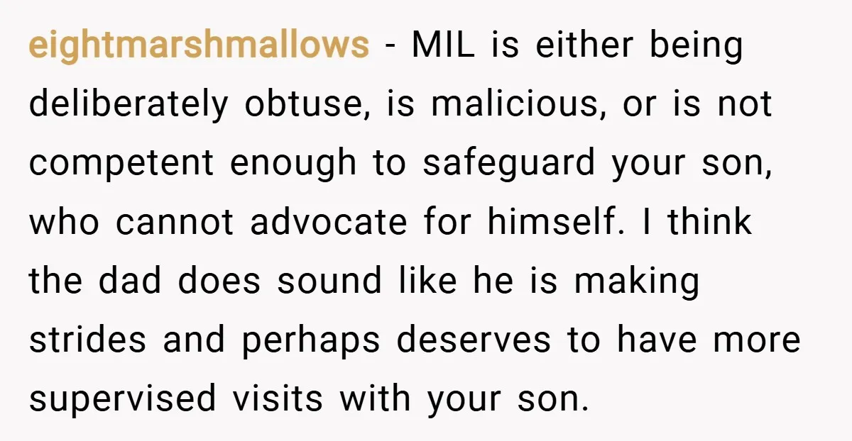 eightmarshmallows − MIL is either being deliberately obtuse, is malicious, or is not competent enough to safeguard your son, who cannot advocate for himself. I think the dad does sound...