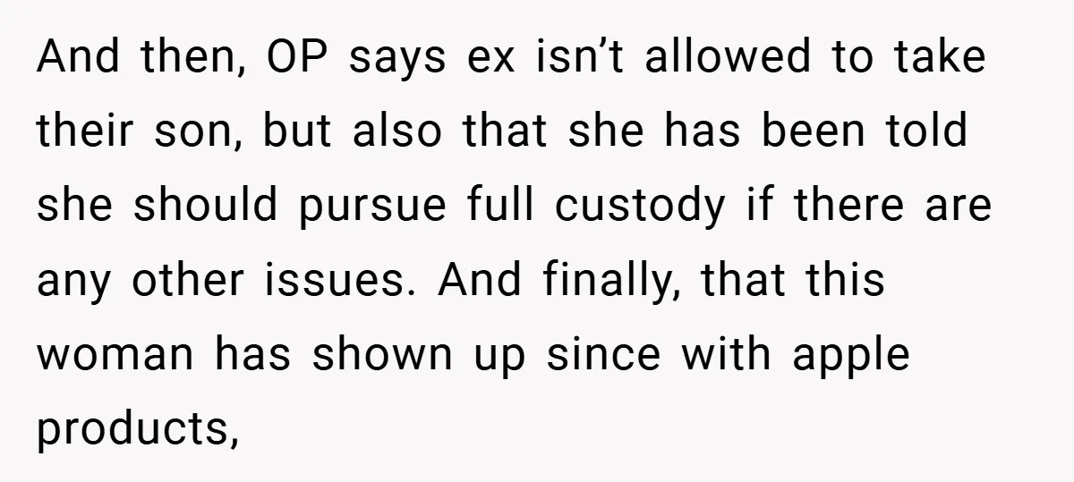 And then, OP says ex isn’t allowed to take their son, but also that she has been told she should pursue full custody if there are any other issues. And...