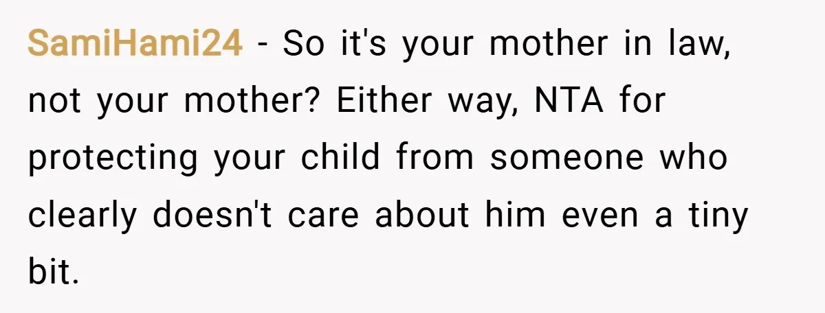 SamiHami24 − So it's your mother in law, not your mother? Either way, NTA for protecting your child from someone who clearly doesn't care about him even a tiny bit.