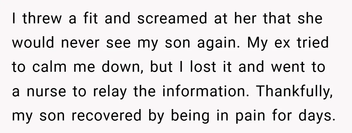 I threw a fit and screamed at her that she would never see my son again. My ex tried to calm me down, but I lost it and went to...