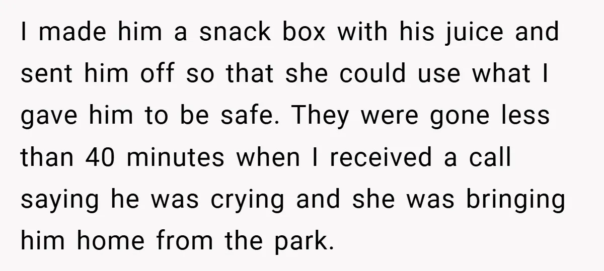 I made him a snack box with his juice and sent him off so that she could use what I gave him to be safe. They were gone less than...