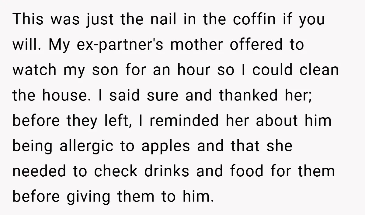 This was just the nail in the coffin if you will. My ex-partner's mother offered to watch my son for an hour so I could clean the house. I said...